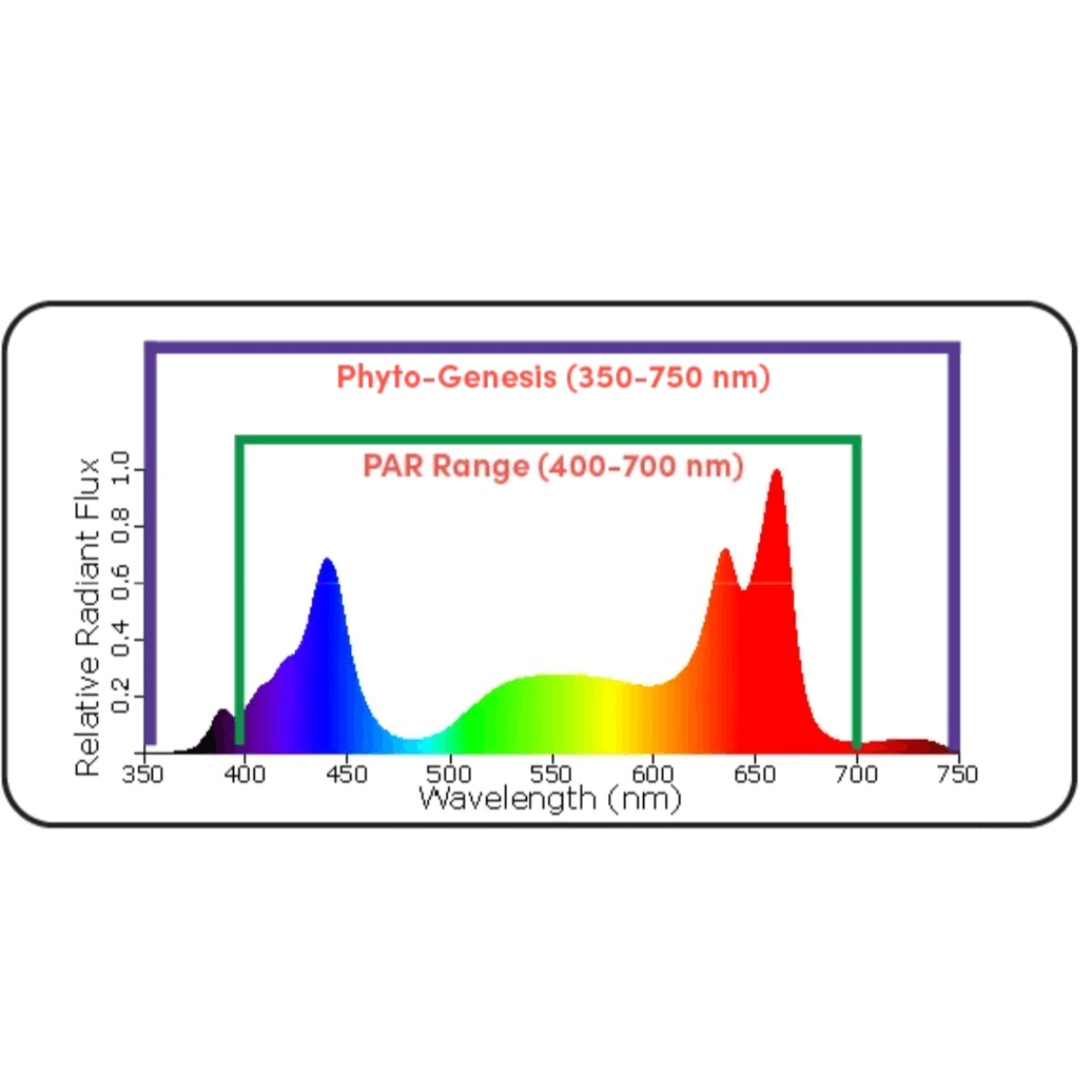 Black Dog Led PhytoMAX-3 16SP 800W Grow Light