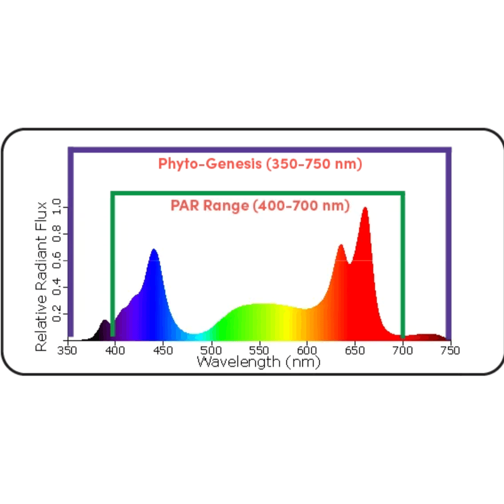 Black Dog Led PhytoMAX-3 8SP 400W Grow Light