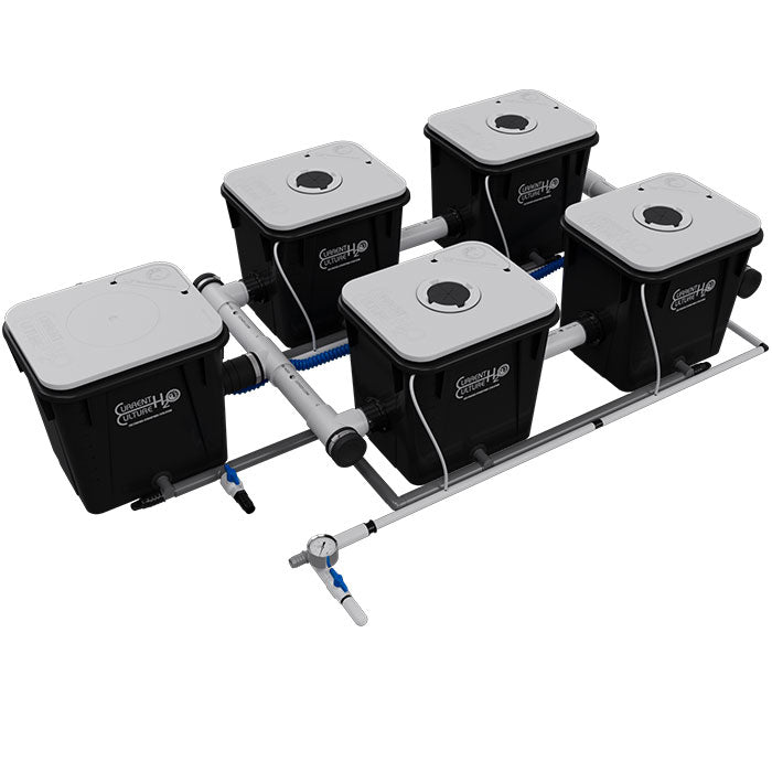 High-quality image of the Current Culture Under Current UCXL RDWC Hydroponics System setup