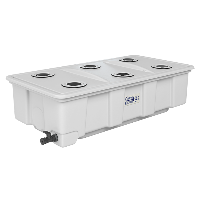Current Culture Under Current Solo COMM 35 Gallon (6 Site x 5.5" Net Pot Lid)