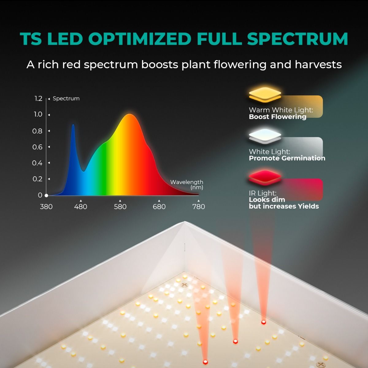 Mars Hydro 2' x 2' Grow Tent Kit with TS 600 LED Grow Light