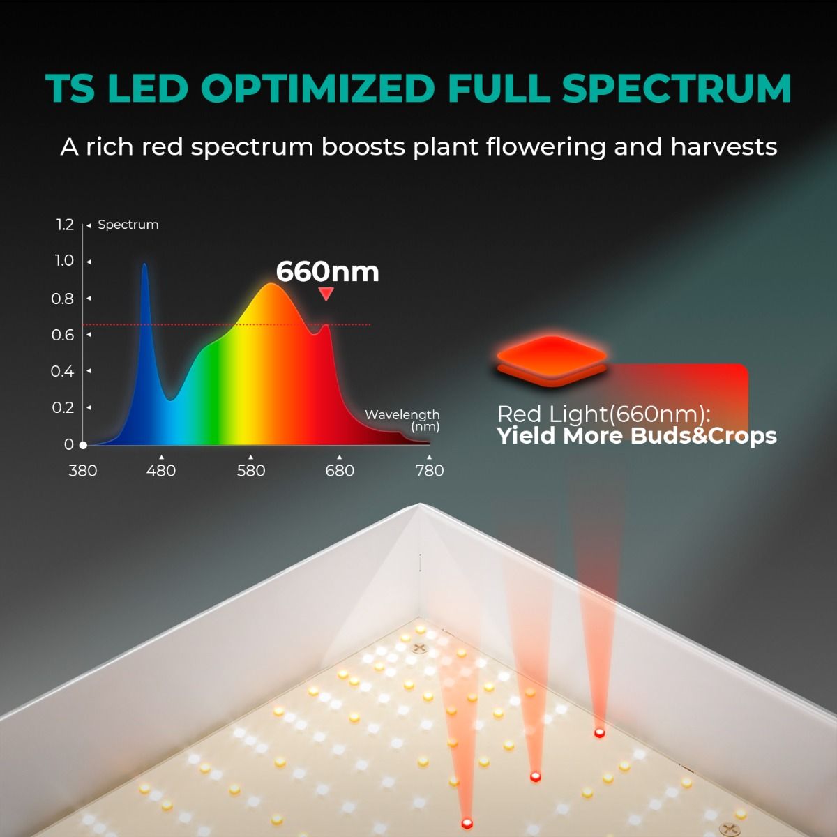 Mars Hydro 2' x 4' Grow Tent Kit with TSL 2000 LED Grow Light