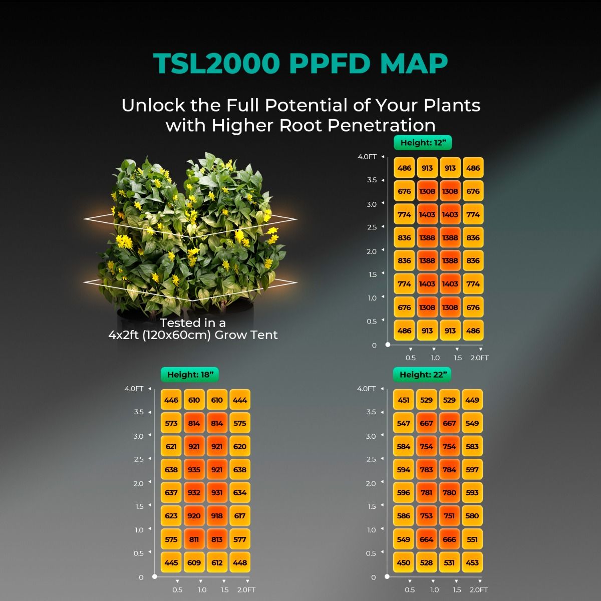 Mars Hydro 2' x 4' Grow Tent Kit with TSL 2000 LED Grow Light