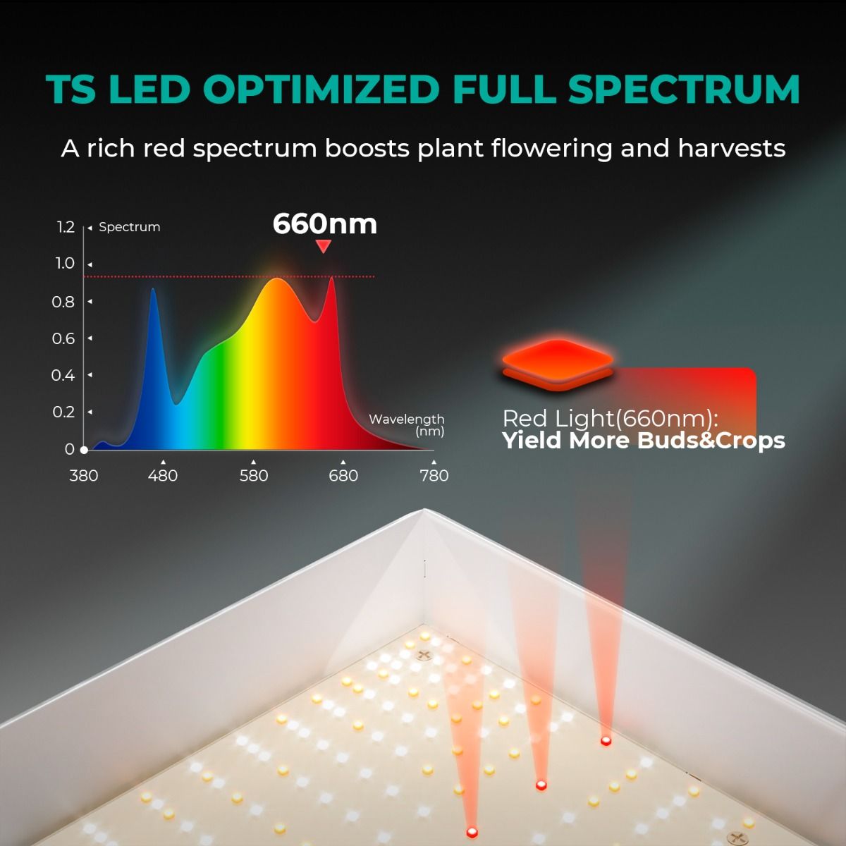 Mars Hydro 4' x 4' Grow Tent Kit with TSW 2000 LED Grow Light