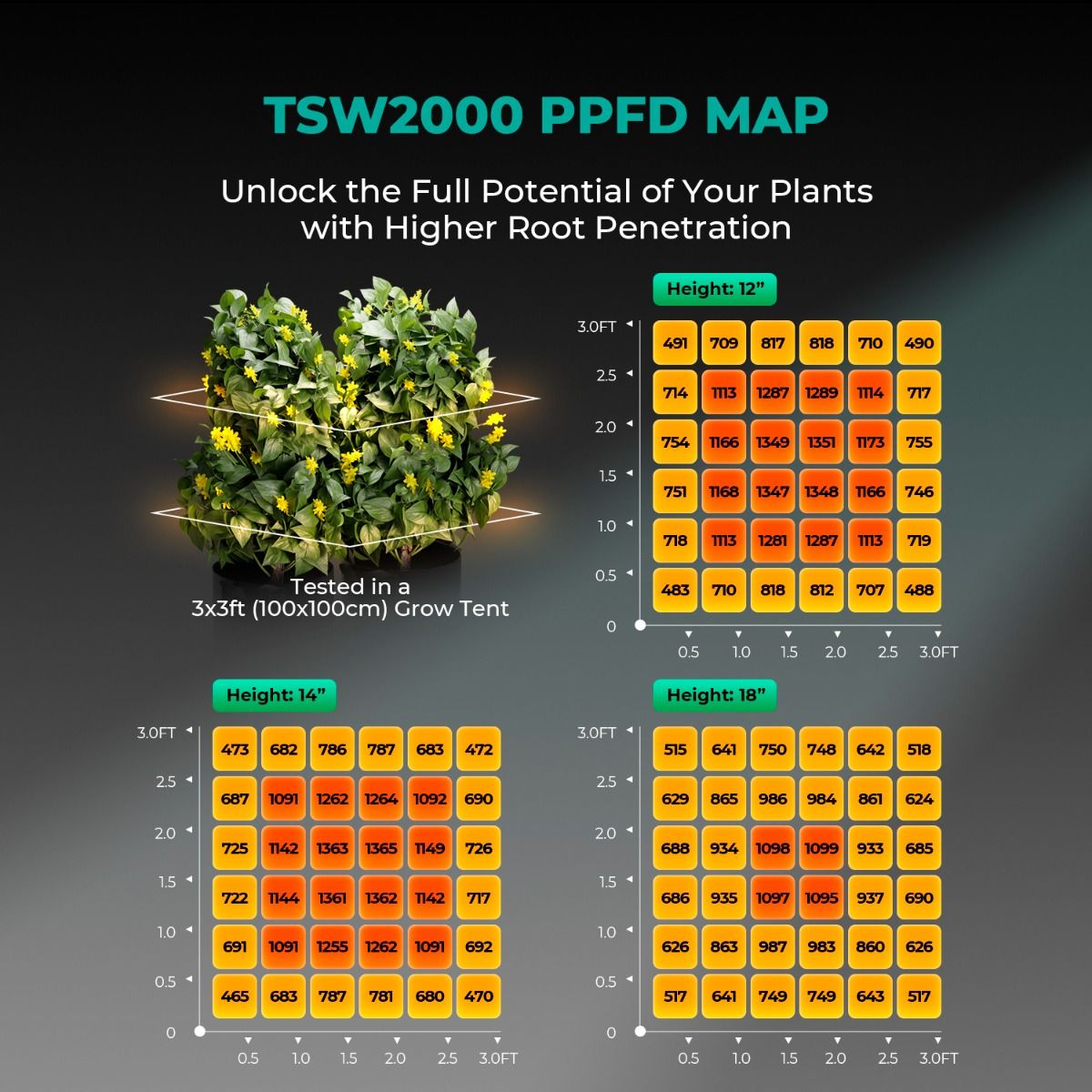 Mars Hydro 4' x 4' Grow Tent Kit with TSW 2000 LED Grow Light