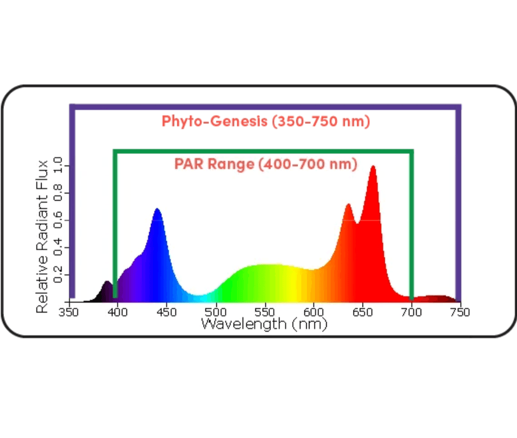 Black Dog Led PhytoMAX-3 12SH 600W Grow Light