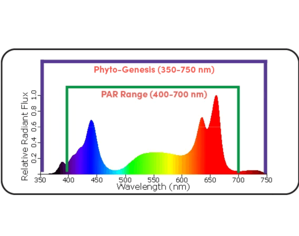 Black Dog Led PhytoMAX-3 12SP 600W Grow Light