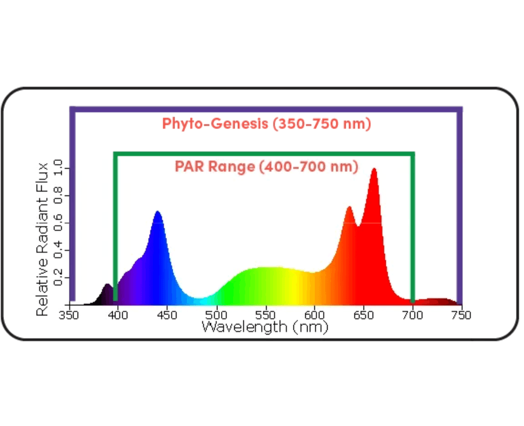 Black Dog Led PhytoMAX-3 20SH 1000W Grow Light