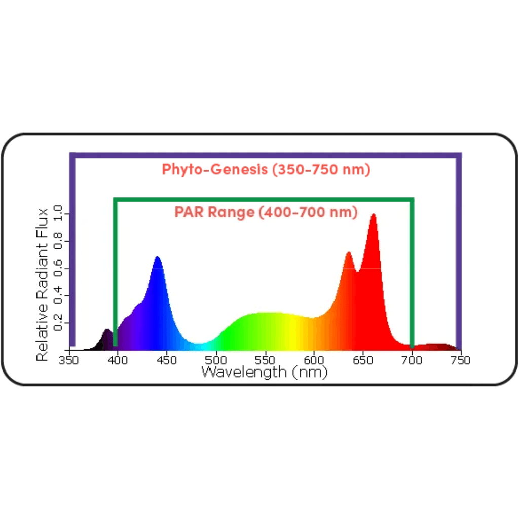 Black Dog Led PhytoMAX-3 24SH 1200W Grow Light