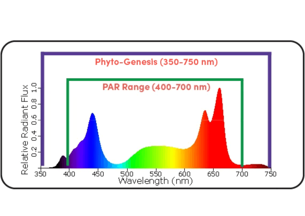 Black Dog Led PhytoMAX-3 24SP 1200W Grow Light