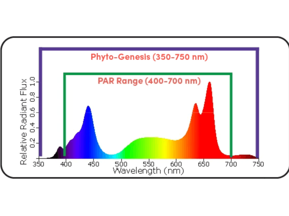 Black Dog Led PhytoMAX-3 8SH 400W Grow Light