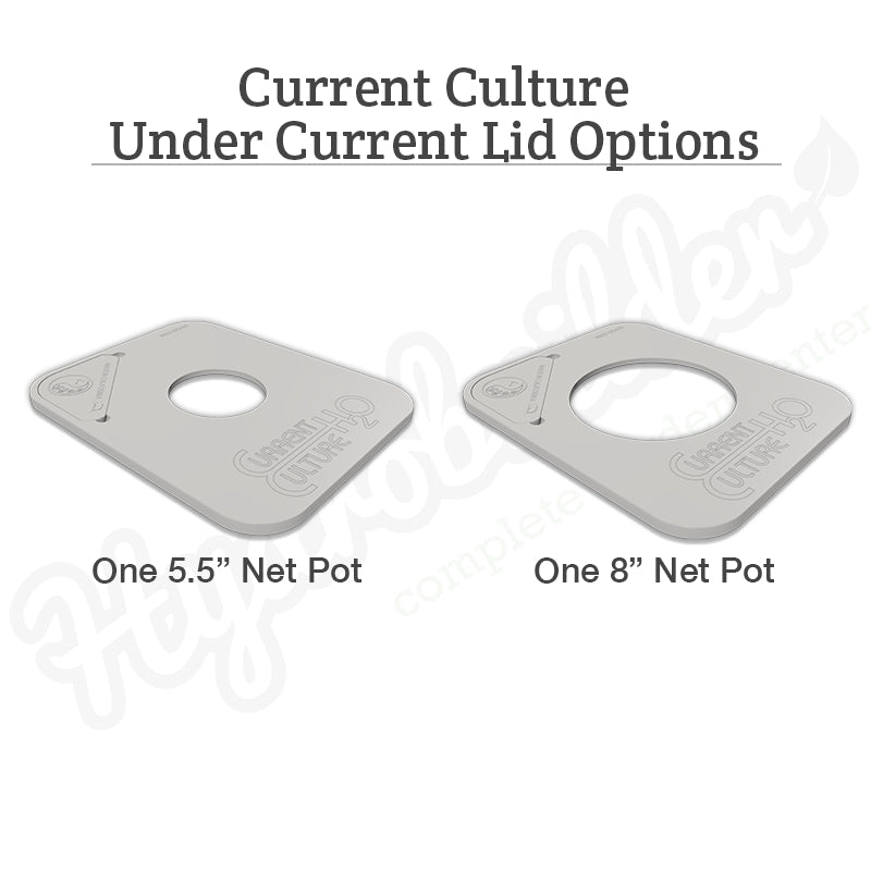 Current Culture 3-Site Multi-Mod Expansion Kit for Under Current Evolution XXL13