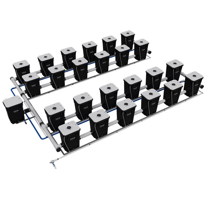 Current Culture Under Current UCXL13 RDWC System
