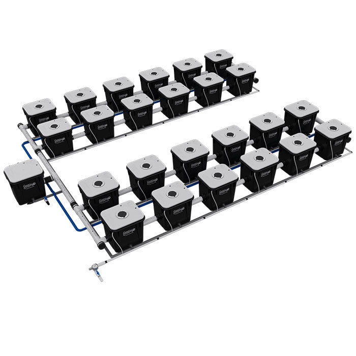 Current Culture Under Current UCXL RDWC System